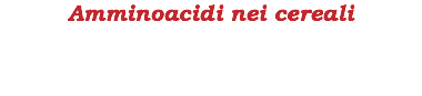 Amminoacidi nei cereali